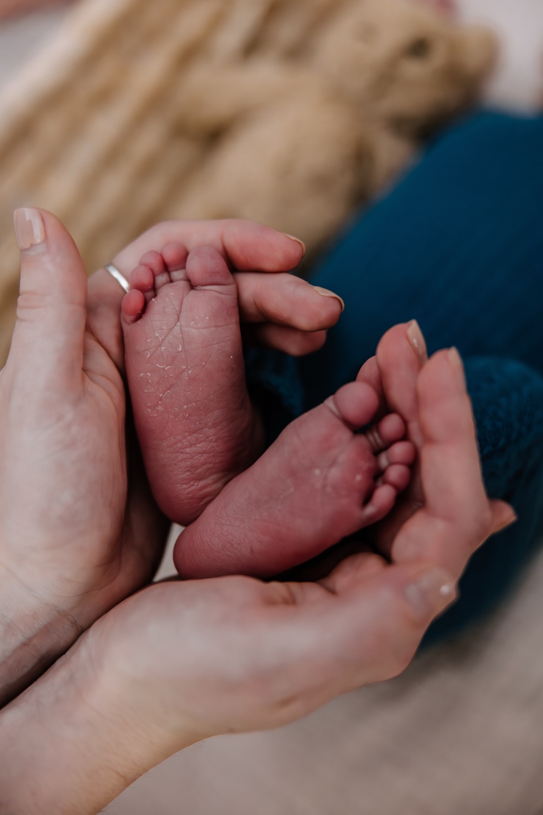 A newborn&rsquo;s feet cradled in an adult&rsquo;s cupped hands.